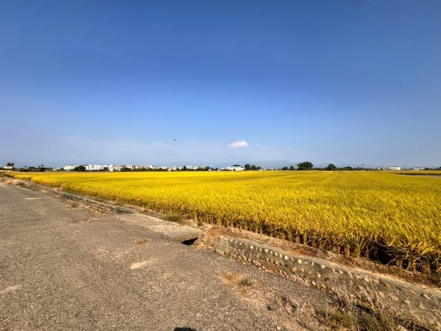 嘉義農地-3