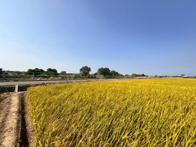 嘉義農地-5